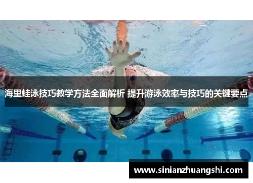 海里蛙泳技巧教学方法全面解析 提升游泳效率与技巧的关键要点