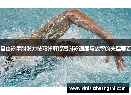 自由泳手肘发力技巧详解提高游泳速度与效率的关键要素
