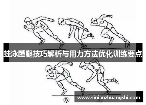 蛙泳蹬腿技巧解析与用力方法优化训练要点